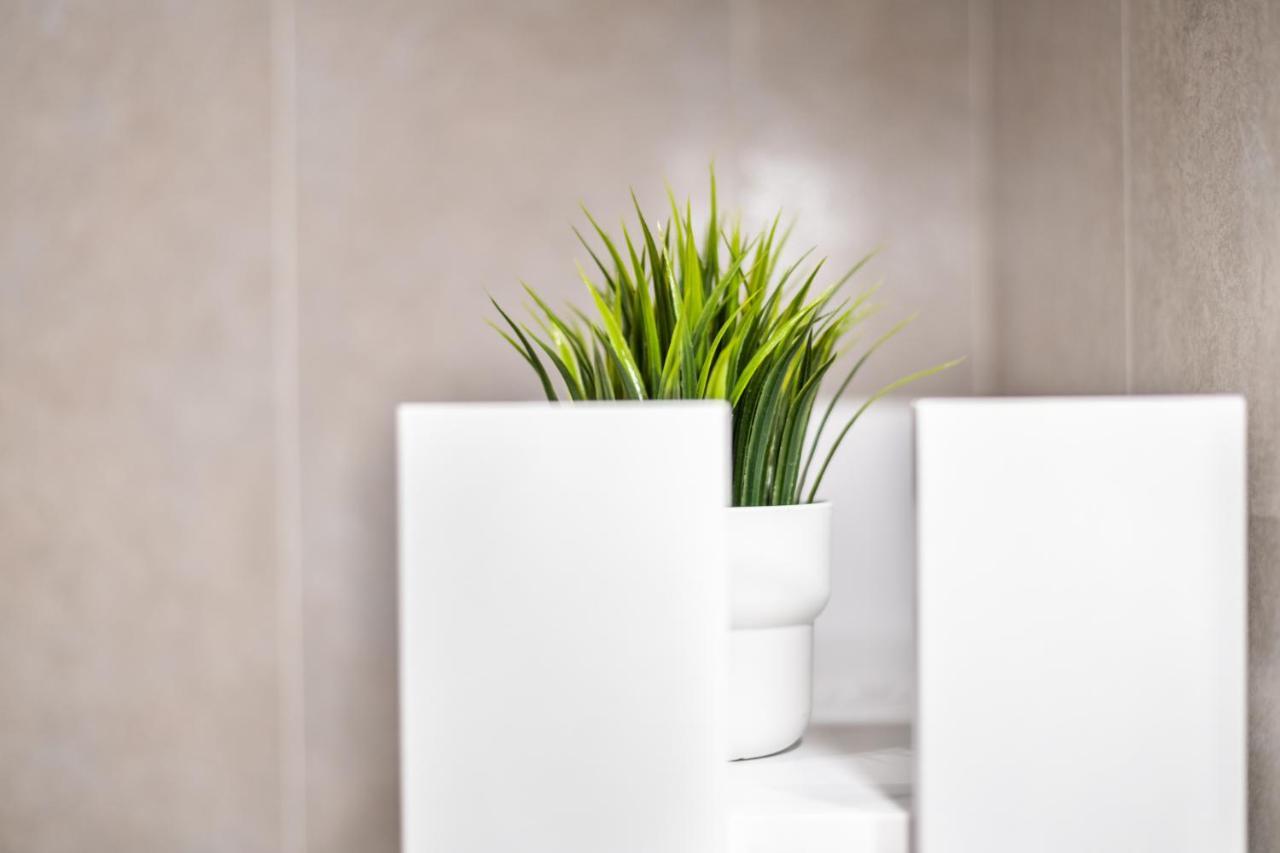 Apartament Smart Family In Piza Zewnętrze zdjęcie