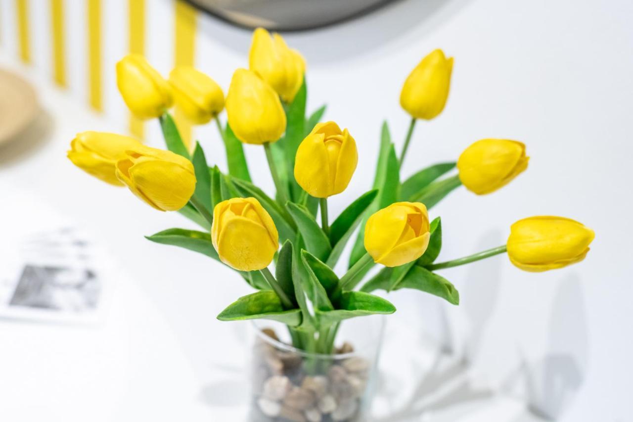 Apartament Smart Family In Piza Zewnętrze zdjęcie